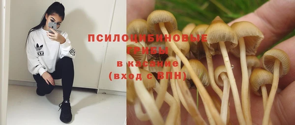 мескалин Елабуга
