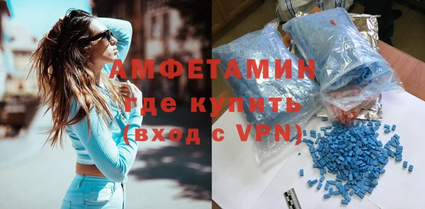 ГАЛЛЮЦИНОГЕННЫЕ ГРИБЫ Дмитриев
